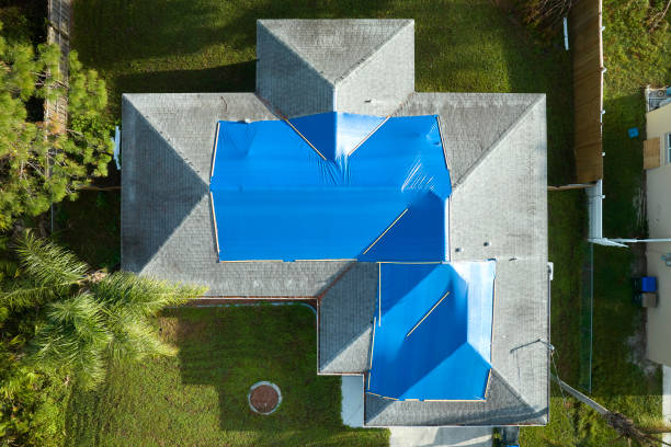 Best Roof Maintenance and Cleaning  in Shreve, OH