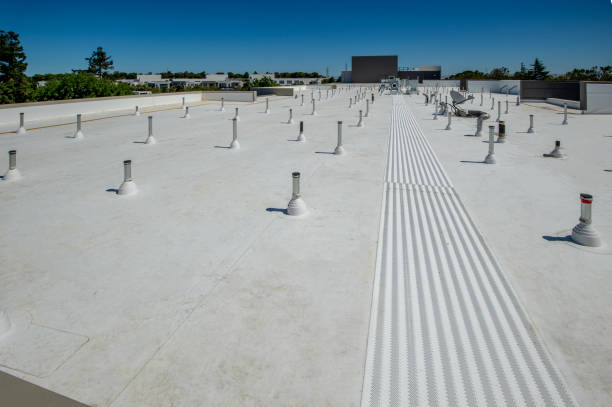 Best Asphalt Shingle Roofing  in Shreve, OH